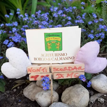 Borgo Di Calmasino Séjour à la ferme Bardolino