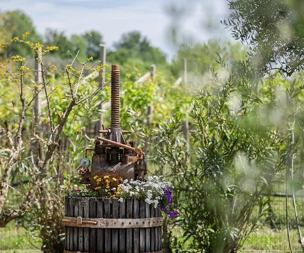 팜스테이 Borgo Di Calmasino 바르돌리노